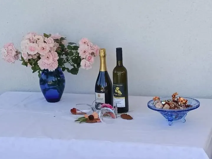 Villa Holiday Home Petra Ledenice